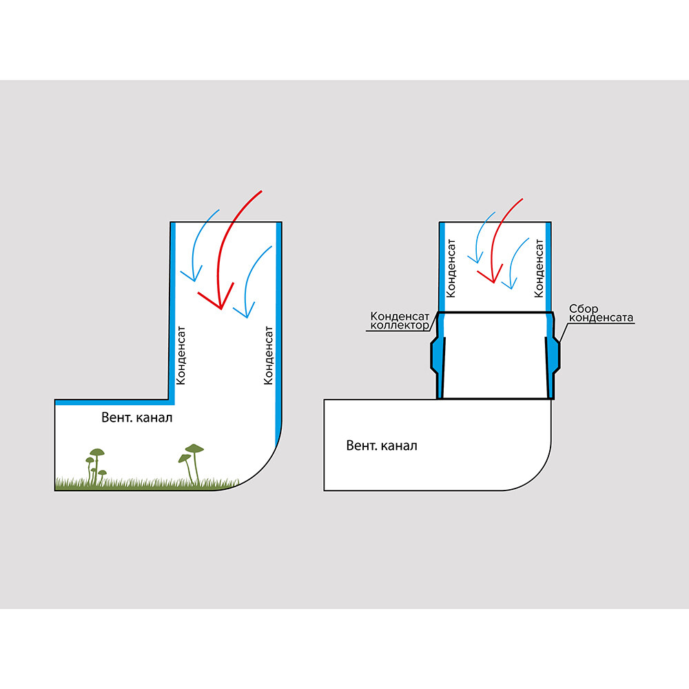 original-1000x1000-fit-11811.jpg Изображение товара 638550