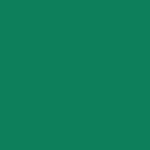 Линолеум спортивный 2 м Tarkett Omnisports Action 65 Field green