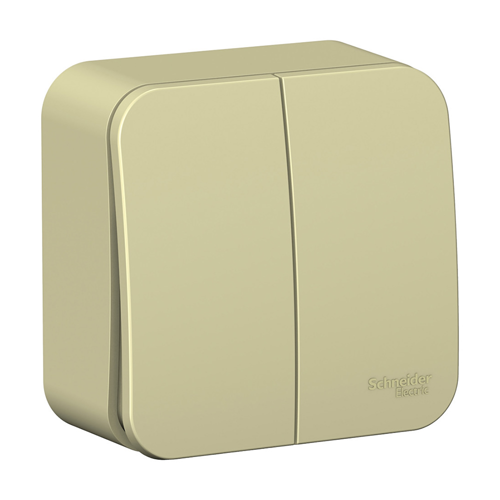original-16262.jpg Выключатель Systeme Electric Blanca двухклавишный накладной бежевый (BLNVA105017) — изображение 1