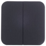 Выключатель Systeme Electric Blanca двухклавишный накладной антрацит (BLNVA105016)