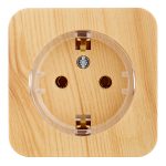 Розетка Systeme Electric Blanca накладная ясень компакт (BLNRA110115)