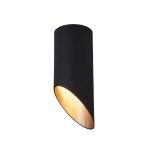 Светильник потолочный Elektrostandard DLN114 GU10 40 Вт золотой IP20 (a050120)