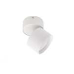 Светильник потолочный IN HOME НПБ GX53 15 Вт белый IP20 (4690612046303)