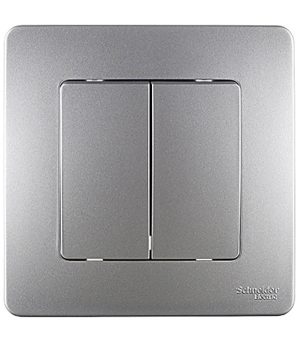 Выключатель Systeme Electric Blanca двухклавишный встраиваемый алюминий (BLNVS010503)