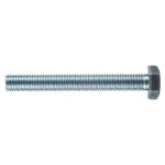 Болт оцинкованный M10x80 мм DIN 933 (2 шт.)
