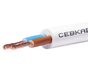 Изображение товара 106505