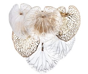 Изображение товара 1047044