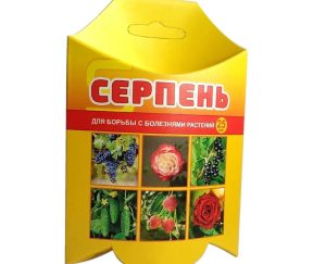 Изображение товара 1052381