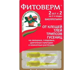 Изображение товара 1052429