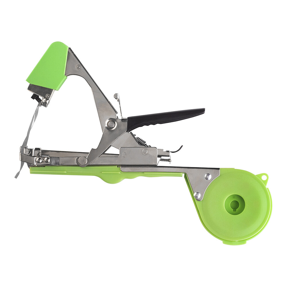 original-6342.jpg Изображение товара 1054842