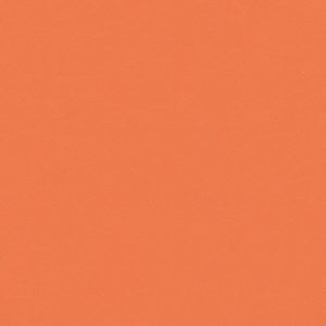 Изображение товара 1059789